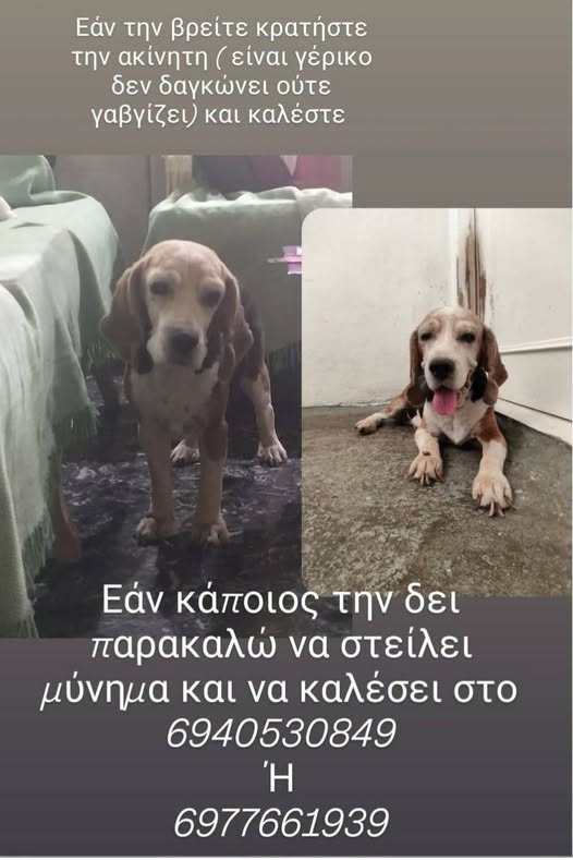 pjikjm