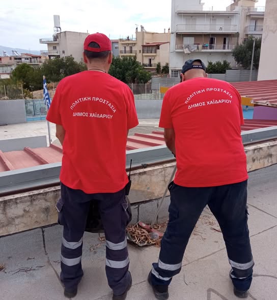 ηκθυκ