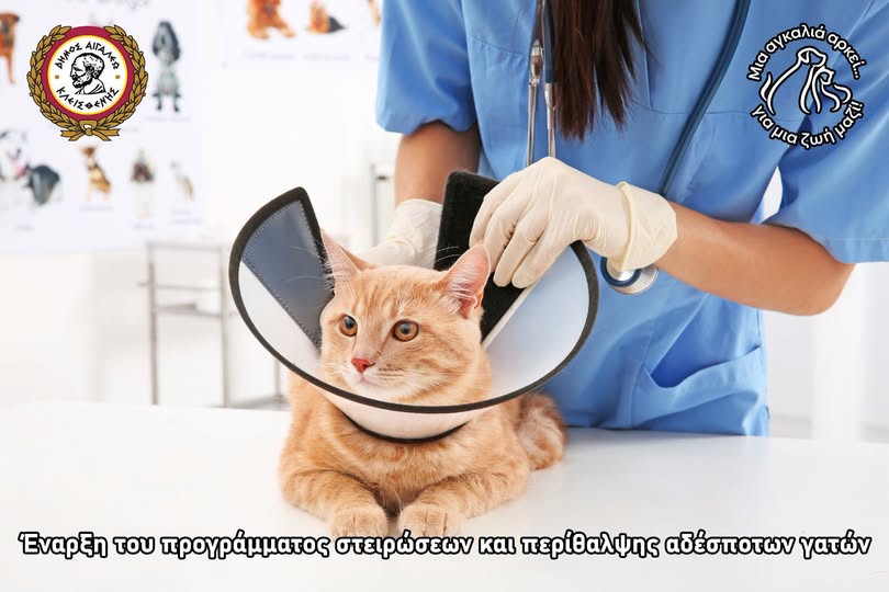 regr