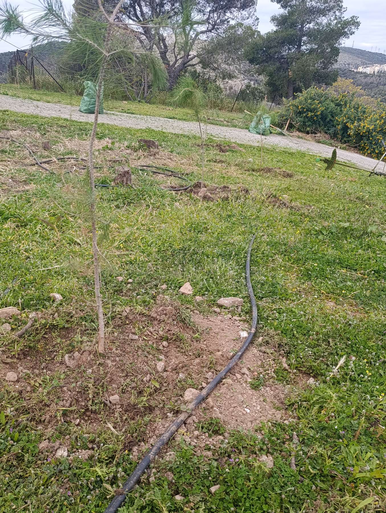 οιξκ