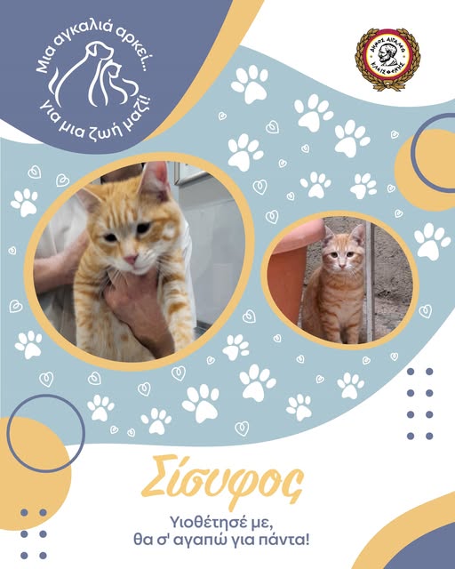 ξβνλξν