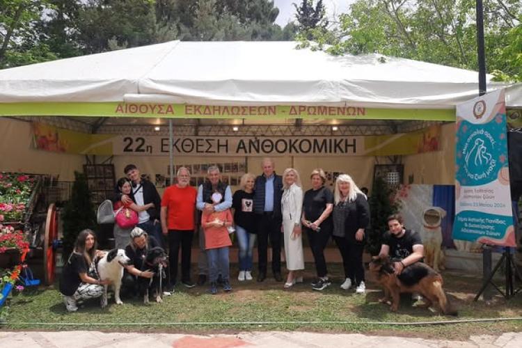34τγ