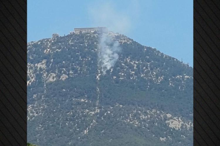 ωγνξτδρξ